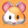 WWW,538av·COM网站APPAPP应用